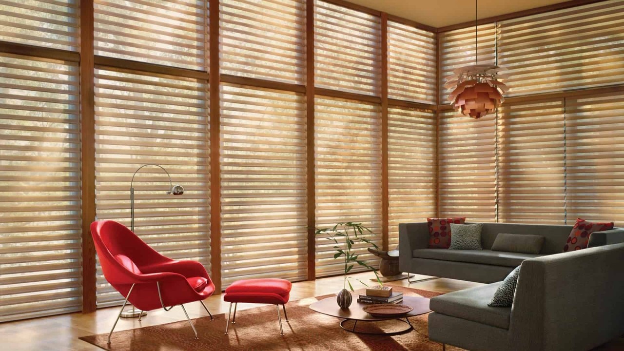 Hunter Douglas Silhouette® Sheer Shades sheer shadings window shades near Johnson City, Tennessee (TN)