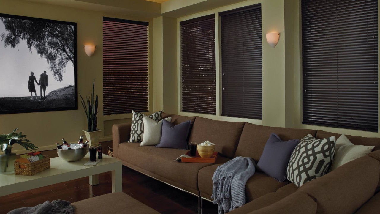 Plush living room decorated with Sleek Hunter Douglas Modern Precious Metals® Mini Blinds near Johnson City, Tennessee
