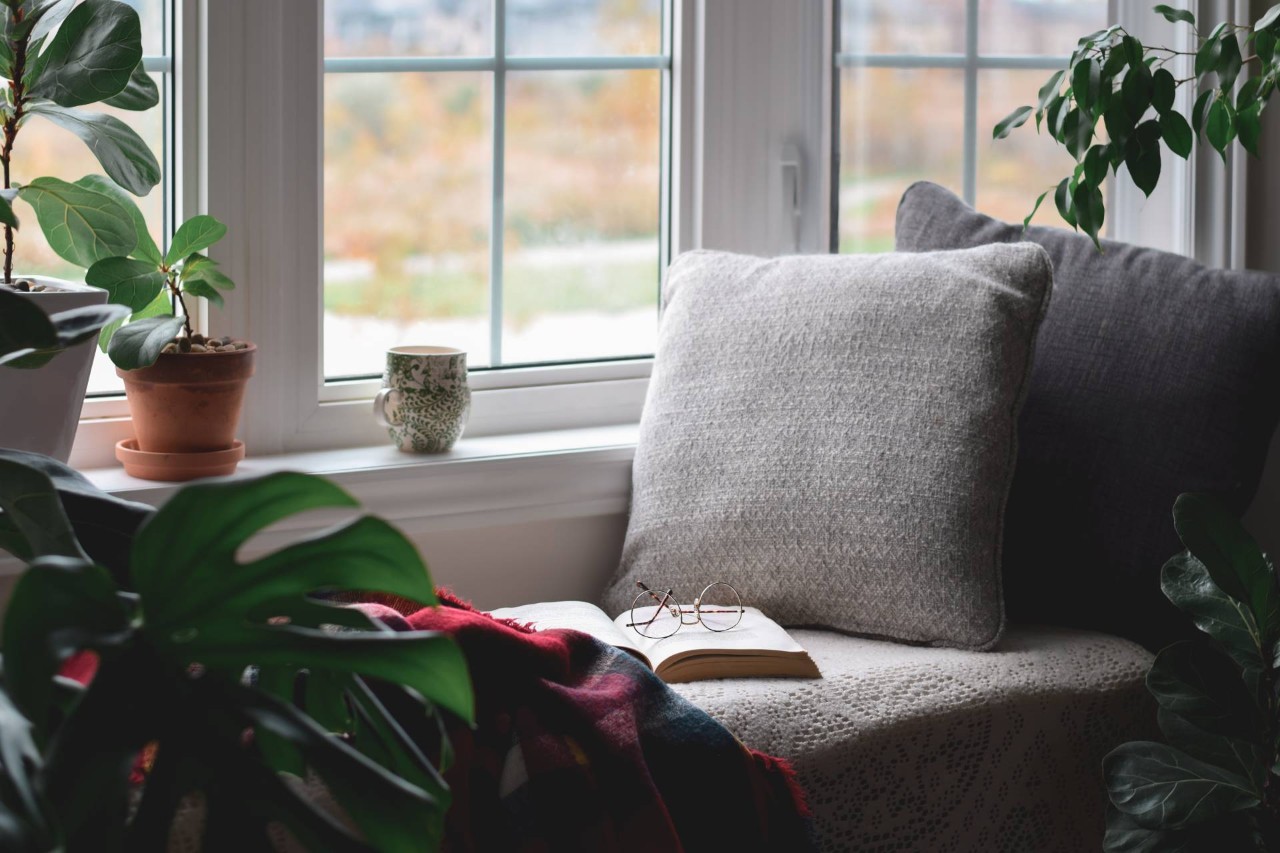 A cozy reading nook with pillows and houseplants beneath a bay window without window treatments at All About Blinds JC near johnson city, Tennessee (TN)
